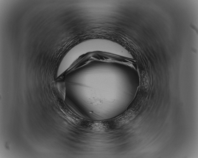 X0000094780562200712141623