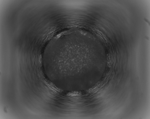 X0000094780563200712141623