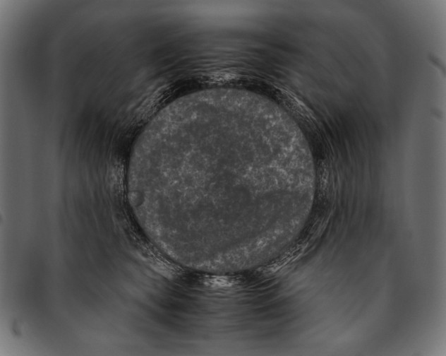 X0000094780565200712141623