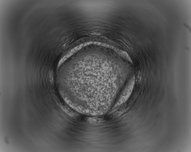 X0000094780568200712141623