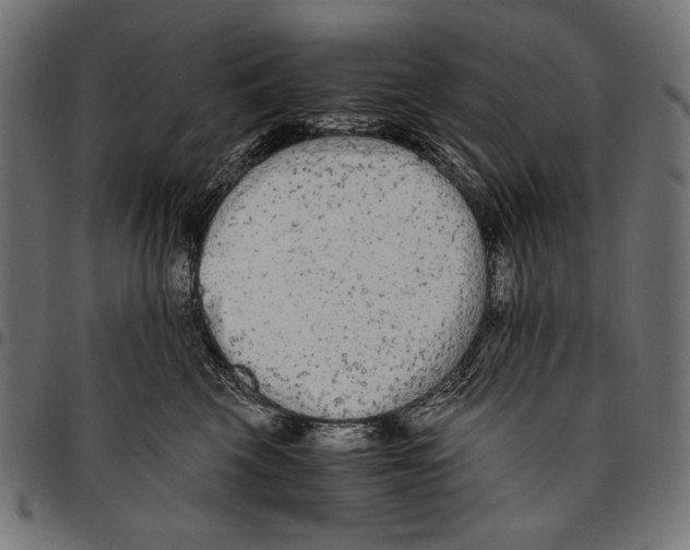 X0000094780569200712141623