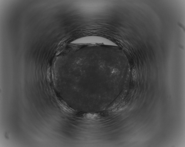 X0000094780570200712141623