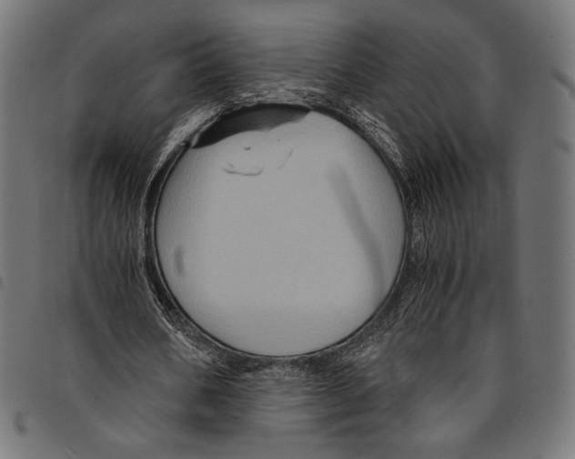 X0000094780578200712141622