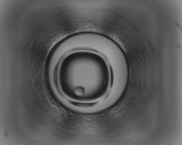 X0000094780579200712141622