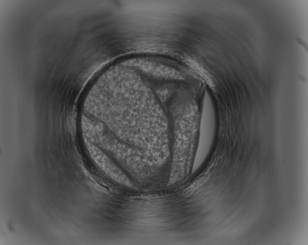 X0000094780580200712141622