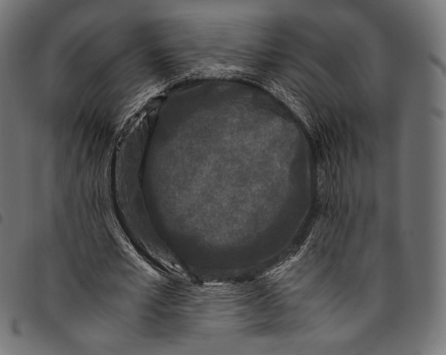 X0000094780581200712141622