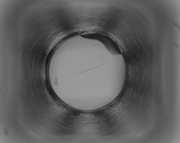 X0000094780582200712141622