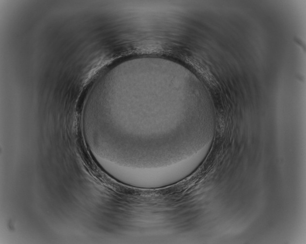 X0000094780583200712141622