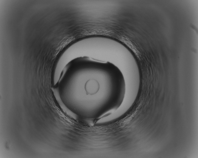 X0000094780585200712141622