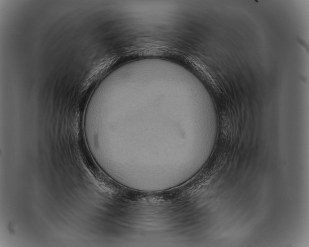 X0000094780586200712141622