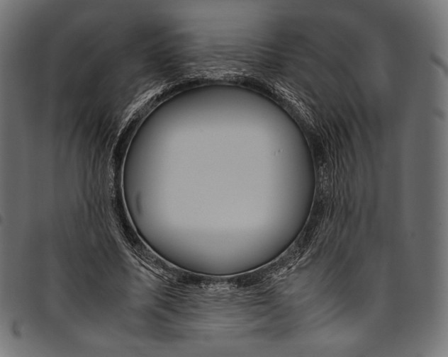 X0000094780587200712141622