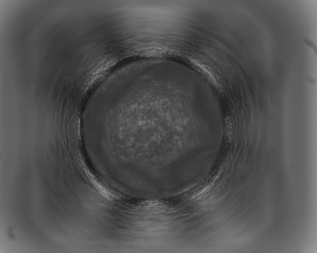 X0000094780589200712141622