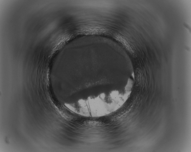 X0000094780590200712141622