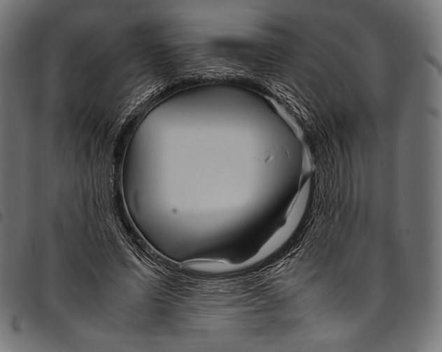 X0000094780591200712141622