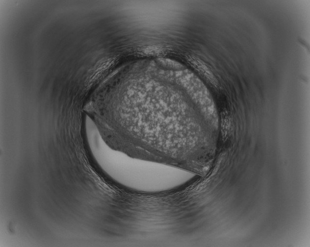 X0000094780593200712141622