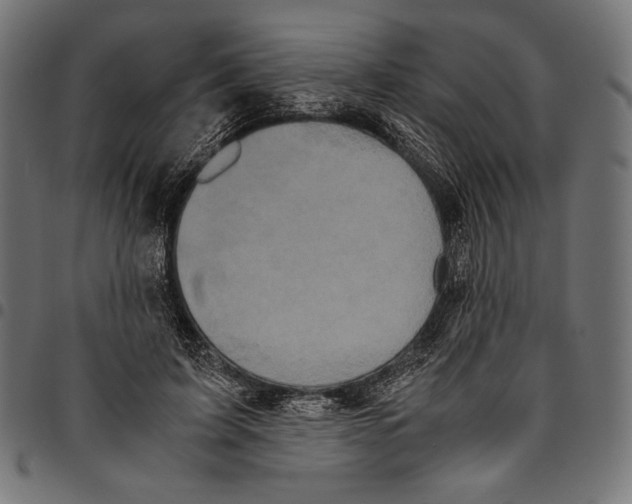 X0000094780595200712141622