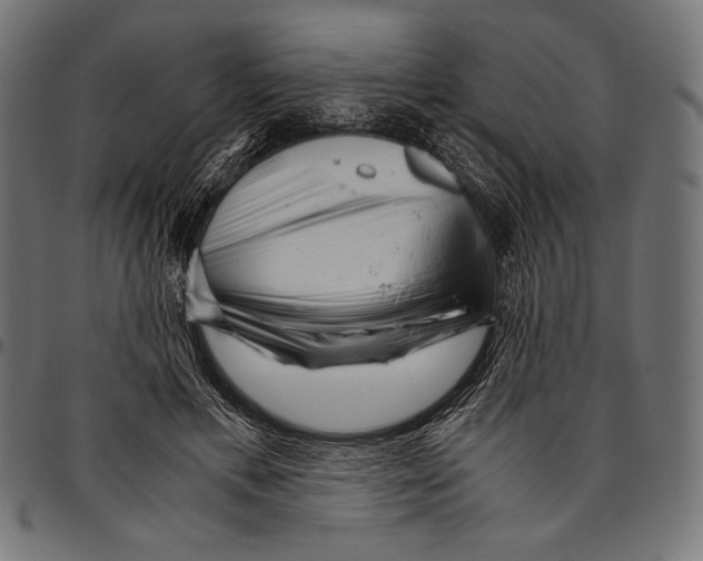 X0000094780597200712141622