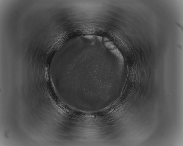 X0000094780598200712141622