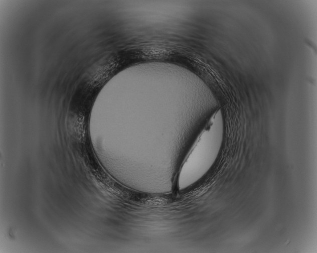 X0000094780599200712141622