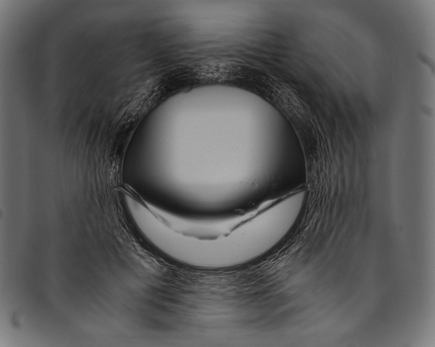 X0000094780601200712141622