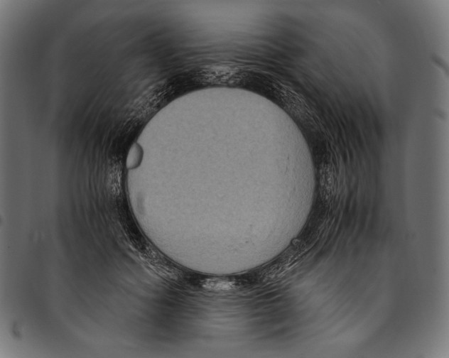 X0000094780602200712141622