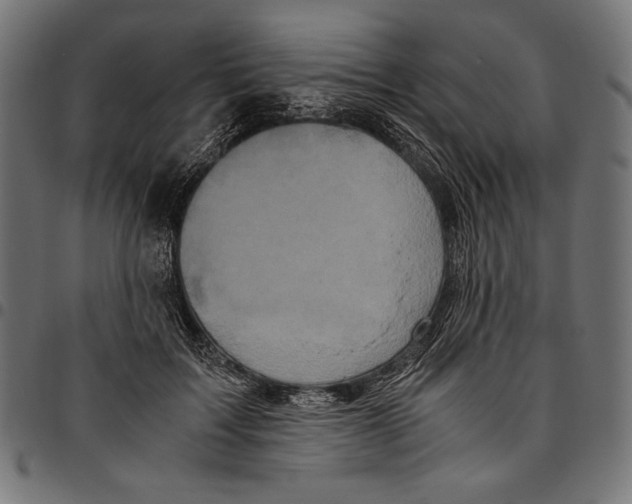 X0000094780603200712141622