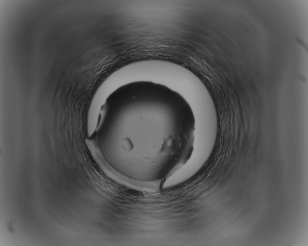 X0000094780605200712141622