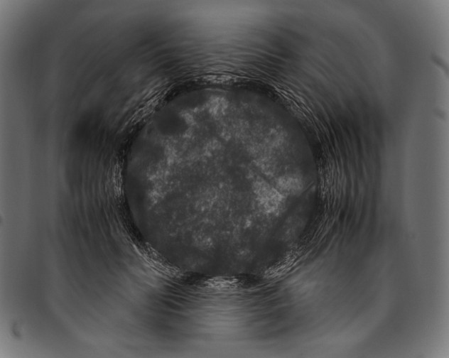 X0000094780606200712141622