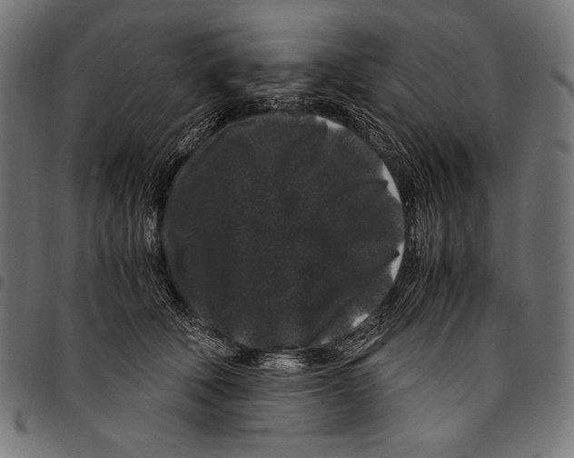 X0000094780610200712141622