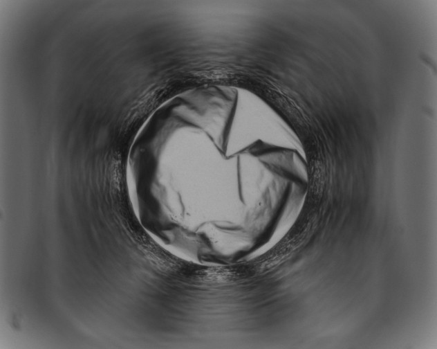 X0000094780612200712141622