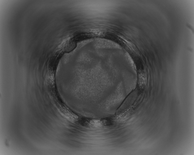 X0000094780613200712141622