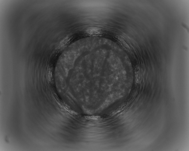 X0000094780618200712141622