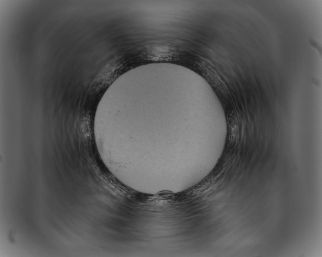 X0000094780620200712141622