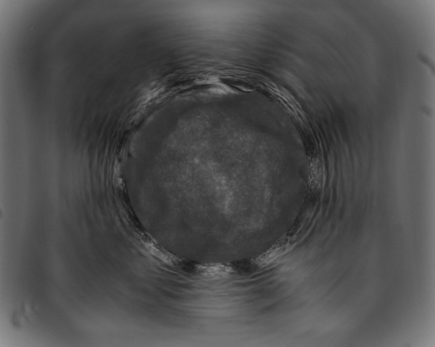 X0000094780621200712141622