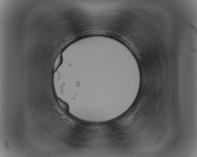 X0000094780625200712141621