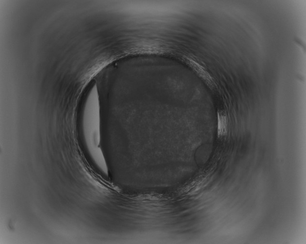 X0000094780627200712141621