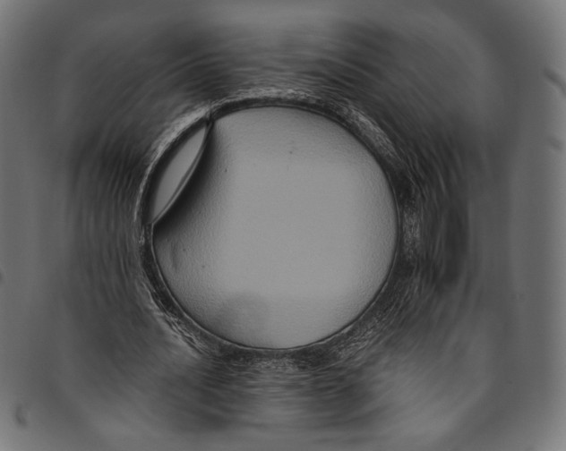 X0000094780628200712141621