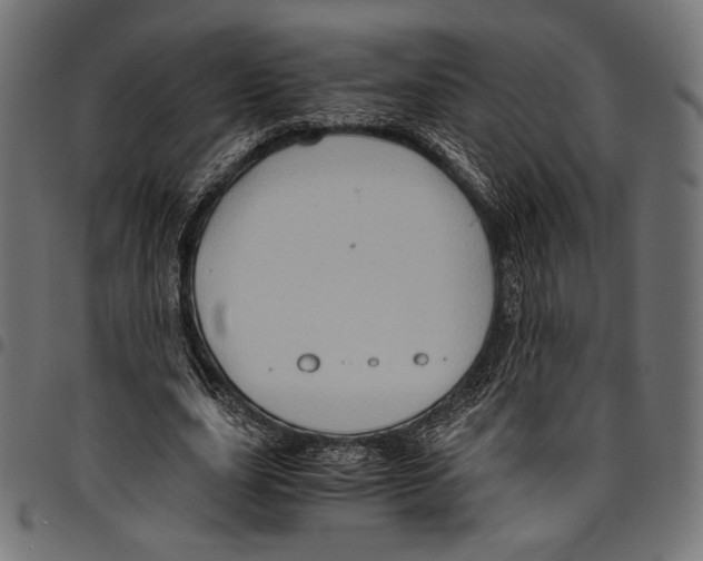 X0000094780631200712141621