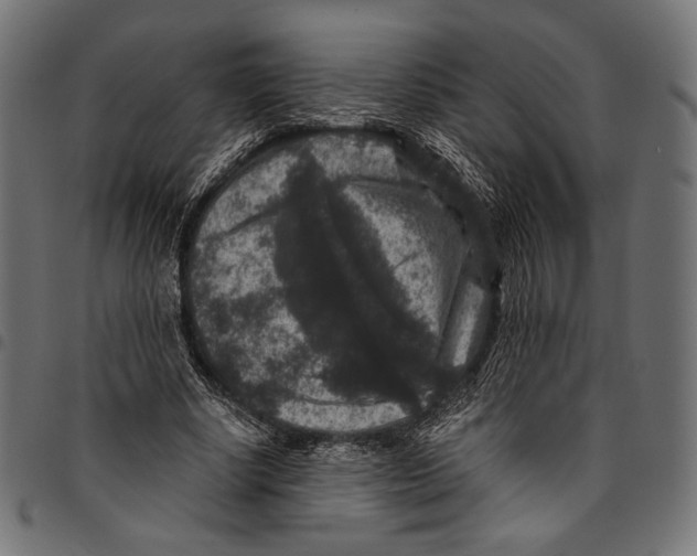 X0000094780634200712141621