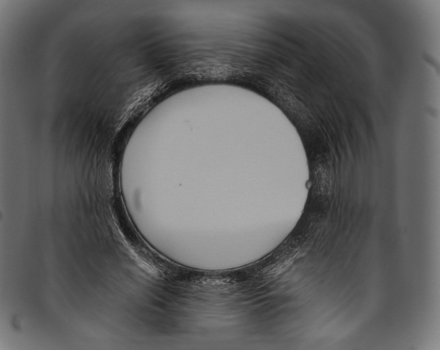 X0000094780638200712141621