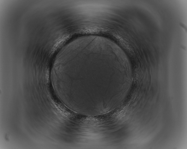 X0000094780640200712141621