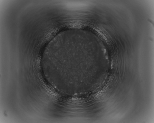 X0000094780641200712141621