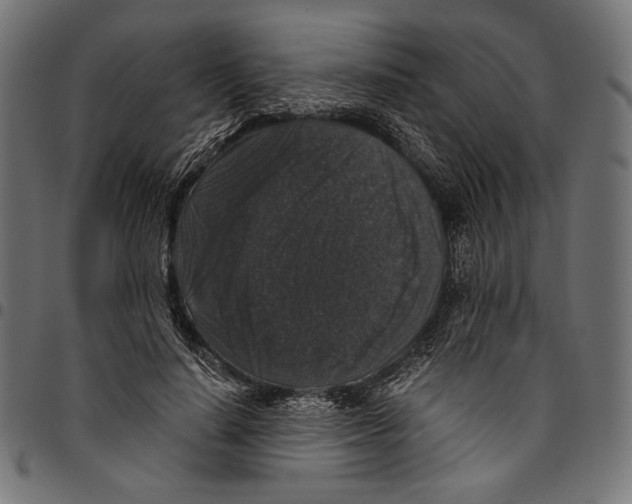 X0000094780644200712141621