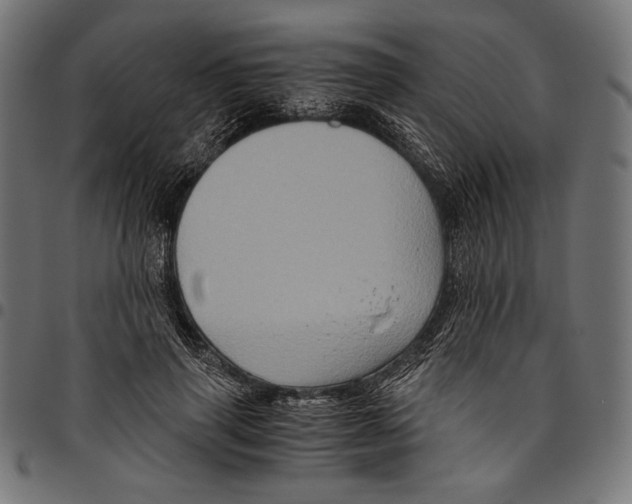 X0000094780645200712141621