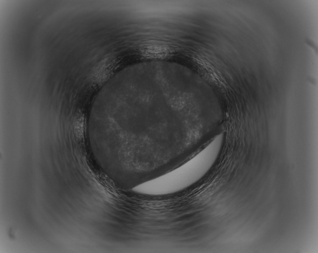 X0000094780647200712141621