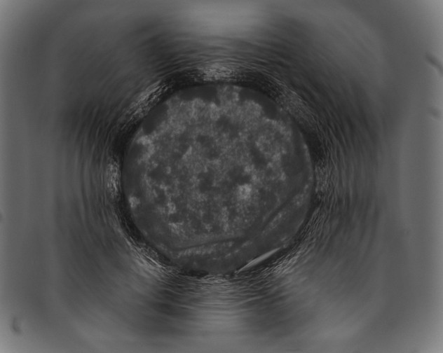 X0000094780648200712141621