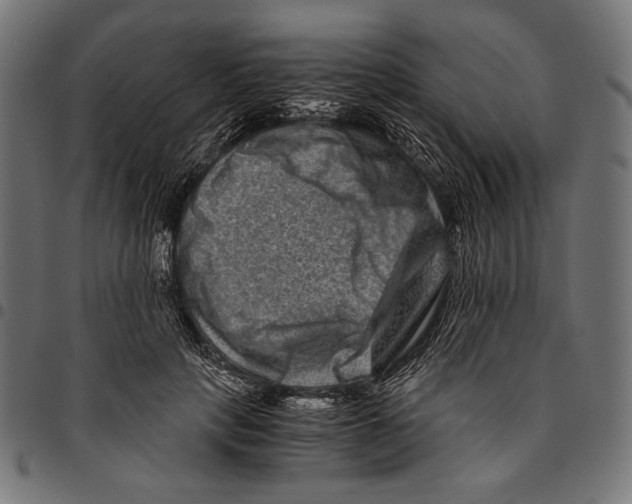 X0000094780649200712141621