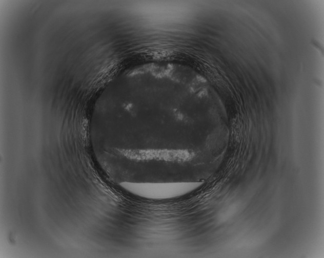 X0000094780650200712141621