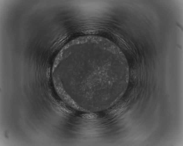 X0000094780652200712141621