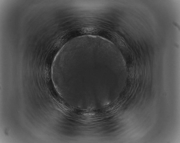 X0000094780653200712141621